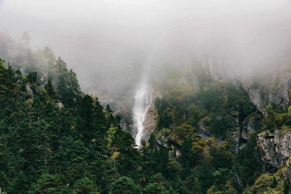 Free Image of Plane Flying Over Lush Green Forest 
