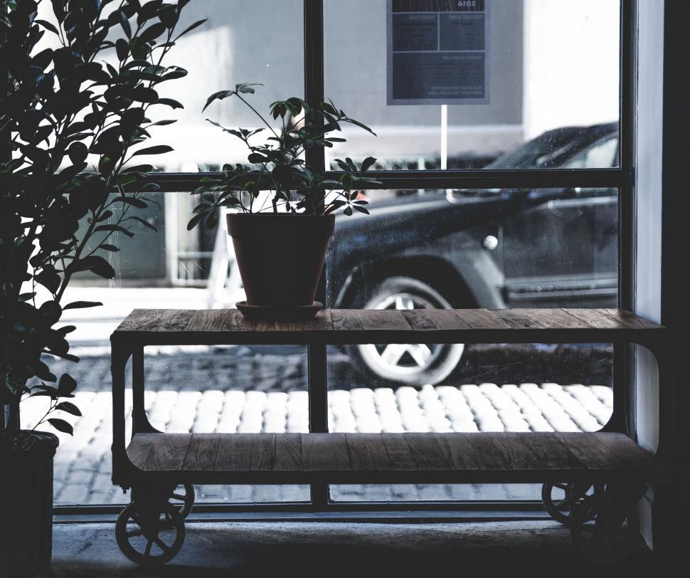 Free Image of A Potted Plant on a Wooden Table 