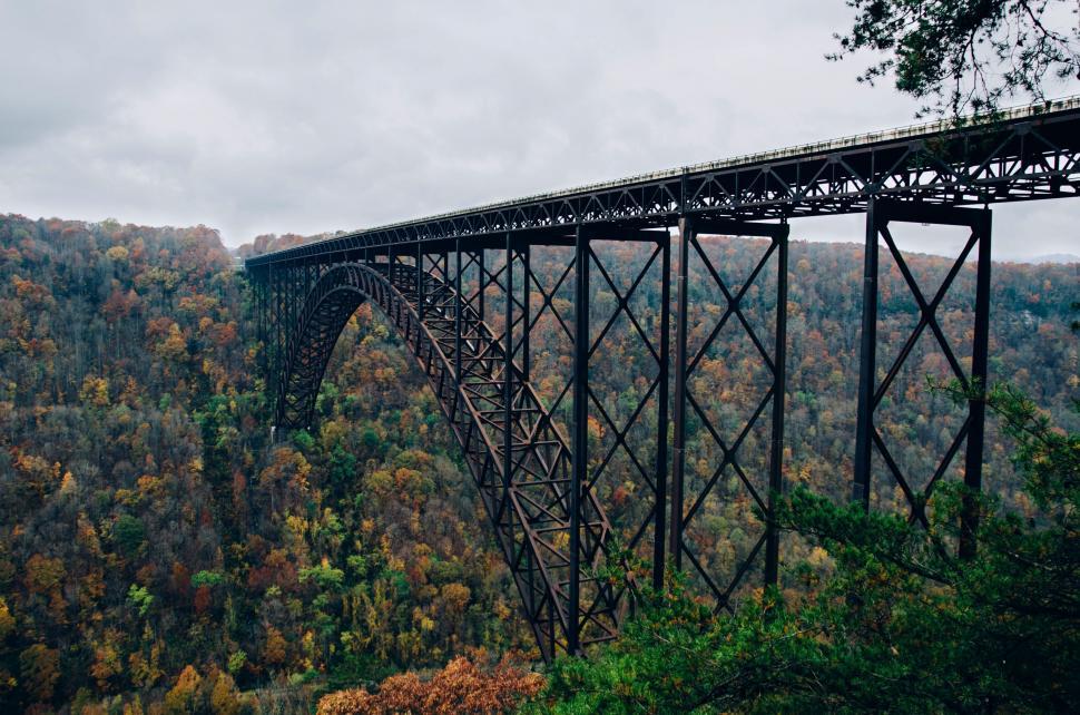 Free Image of Massive Bridge Crossing Verdant Forest 