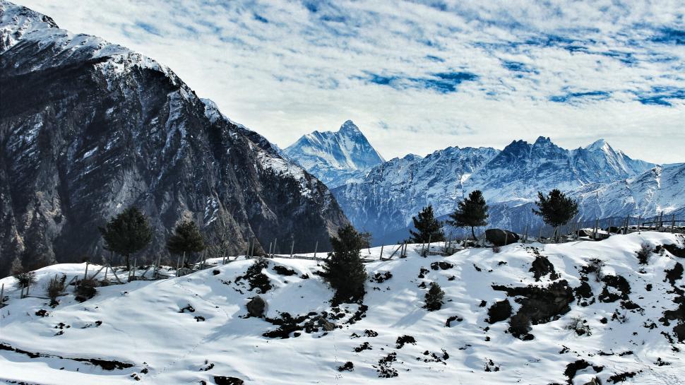 Free Image of Snowy Landscape With Mountains and Trees 