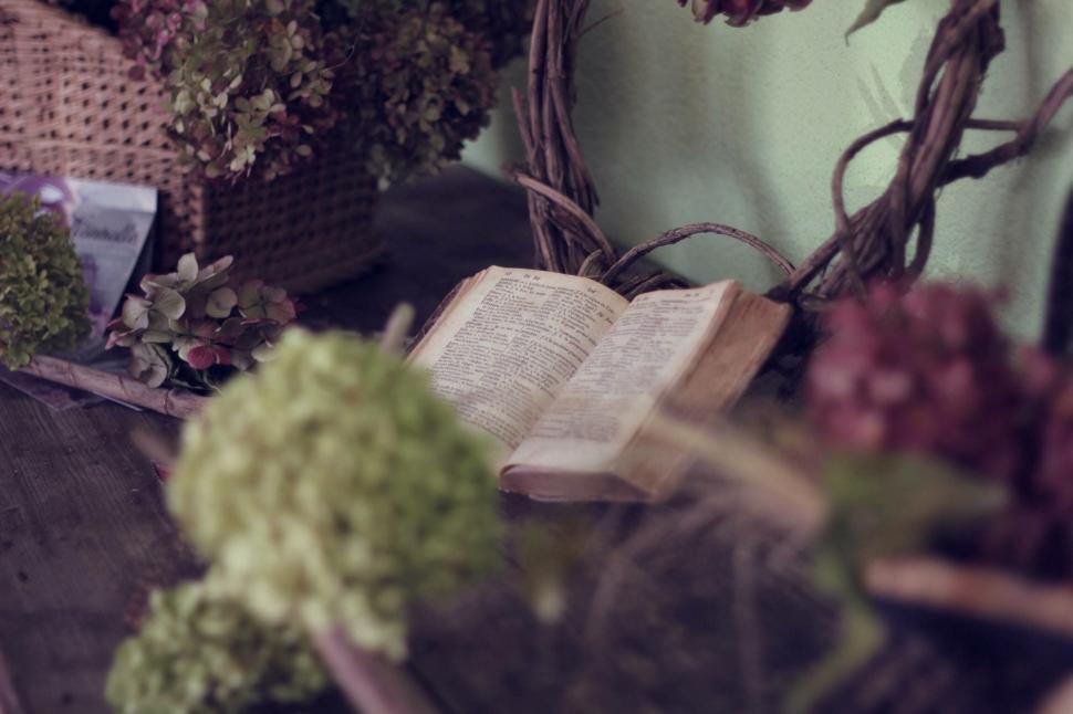 Free Image of Open Book on Wooden Table 