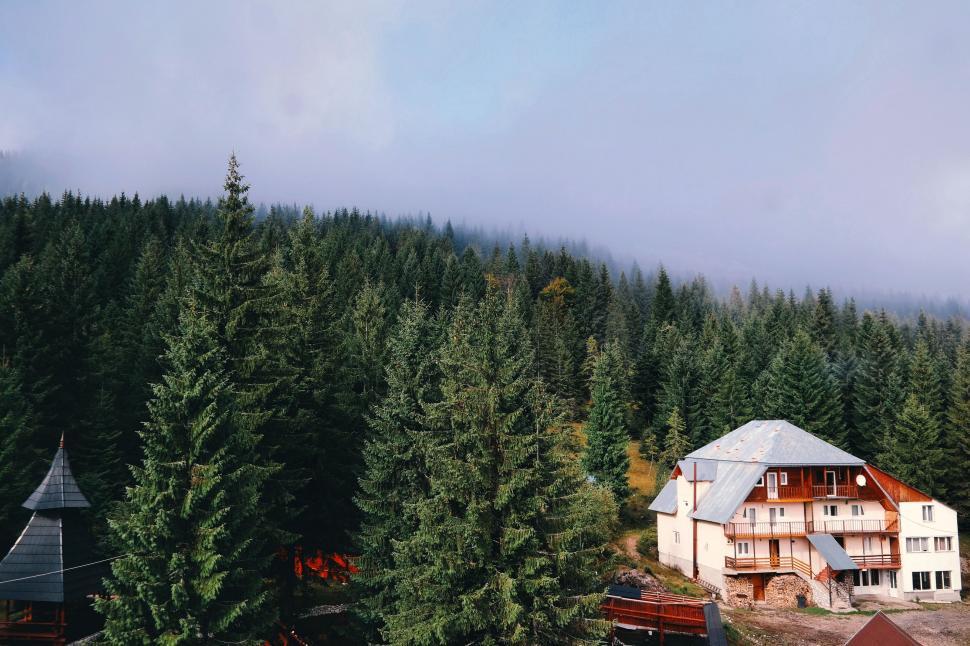 Free Image of House Surrounded by Forest 