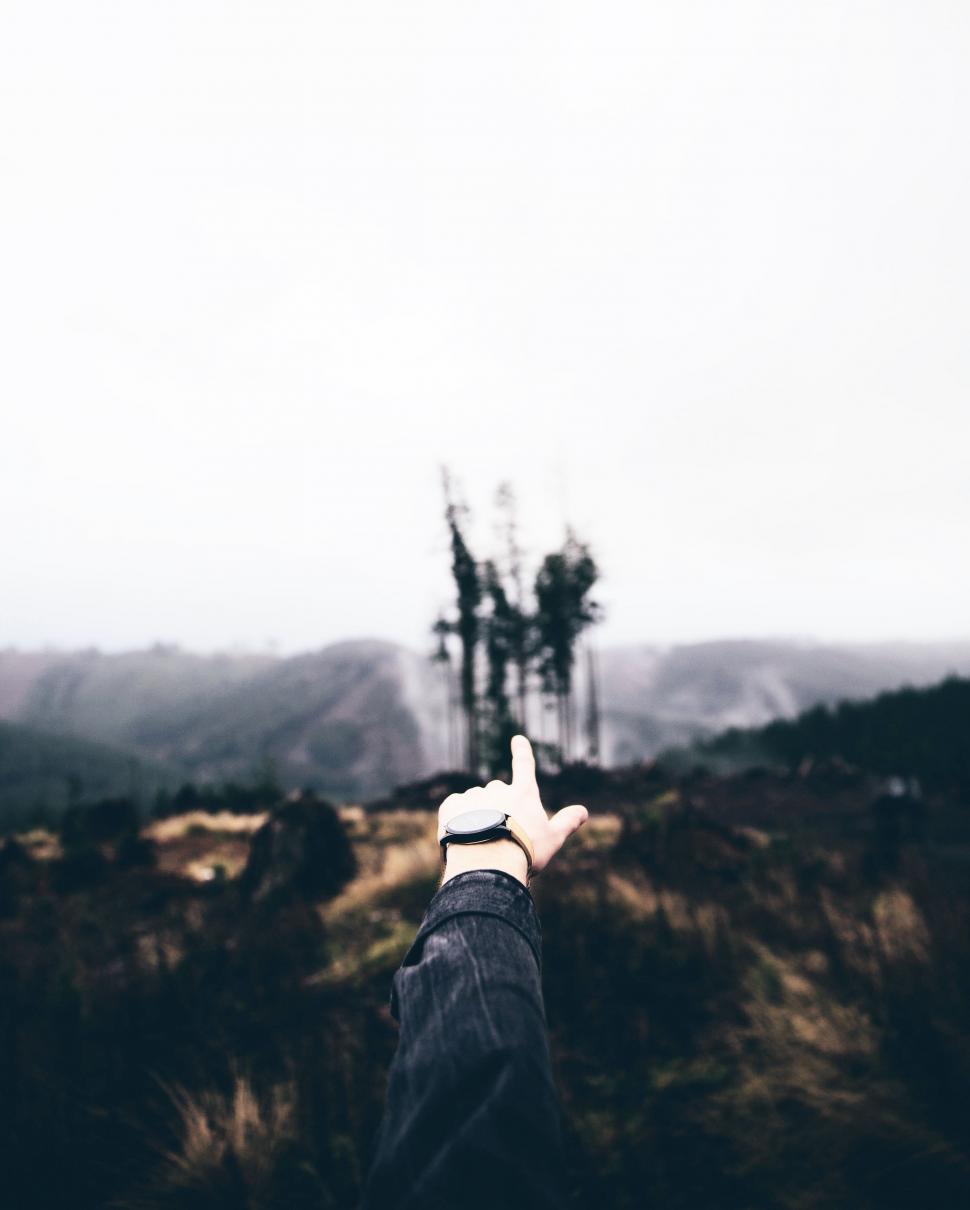 Free Image of Person Pointing at Tree in Distance 