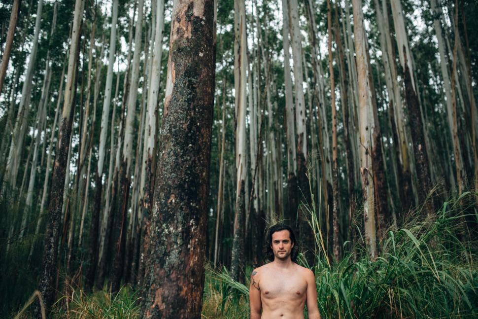 Free Image of Man Standing in the Middle of Forest 