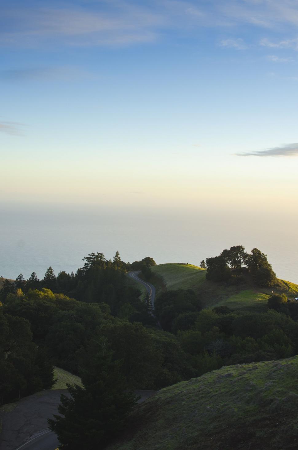 Free Image of Hill With Trees Landscape 