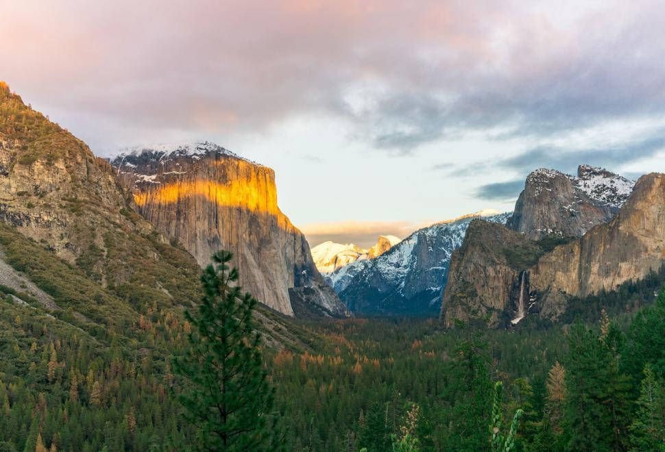 Free Image of Panoramic View of Mountain Range With Trees in Foreground 