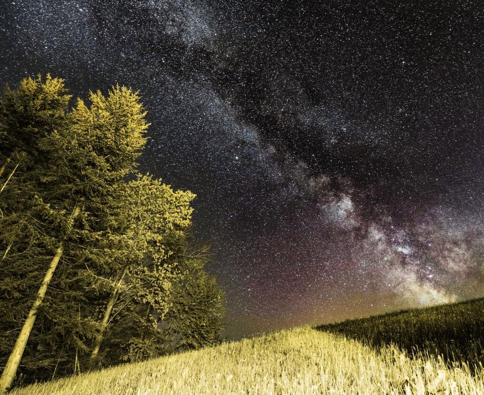 Free Image of Starry Night Sky Over Trees 