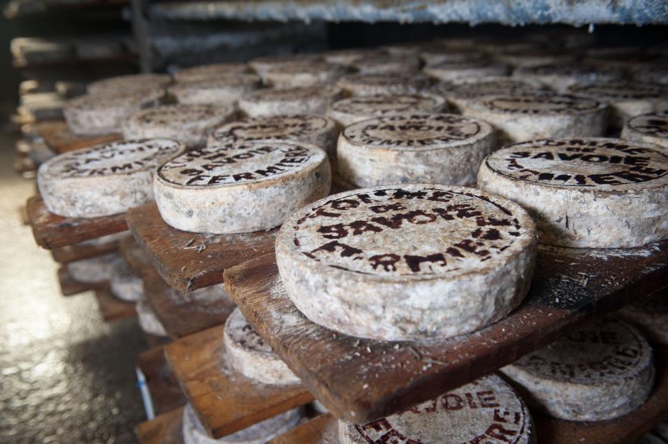 Free Image of Assorted Cheeses Displayed on a Table 