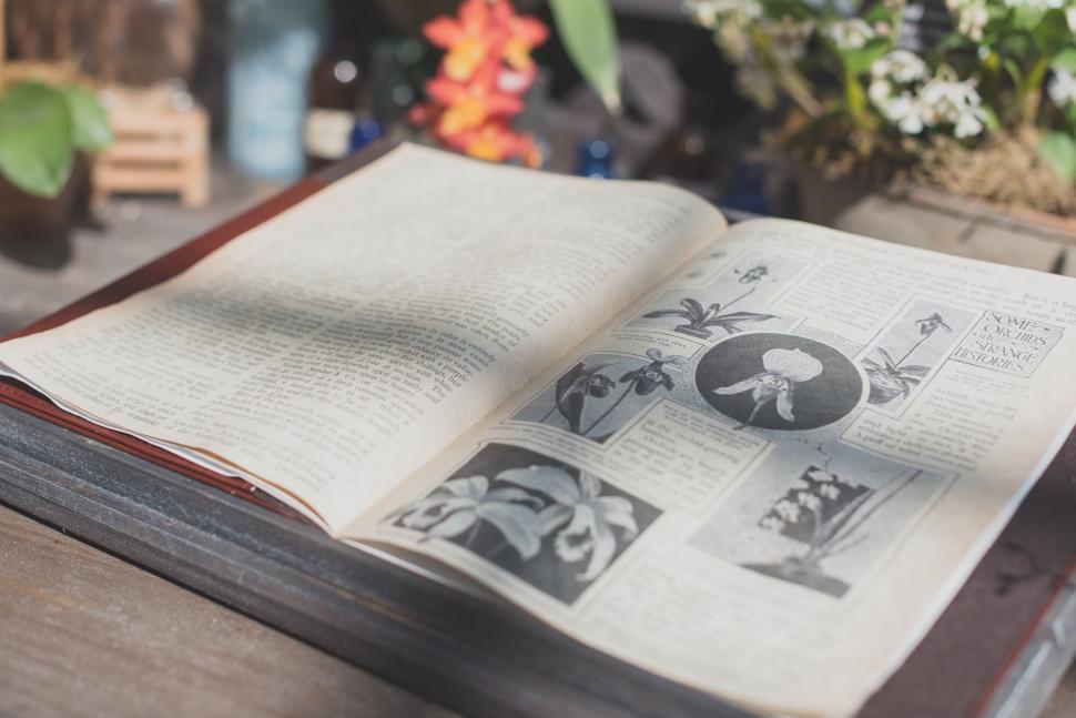 Free Image of Open Book on Wooden Table 