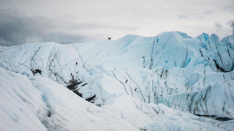 Free Image of Majestic Mountain With Snow and Bird 