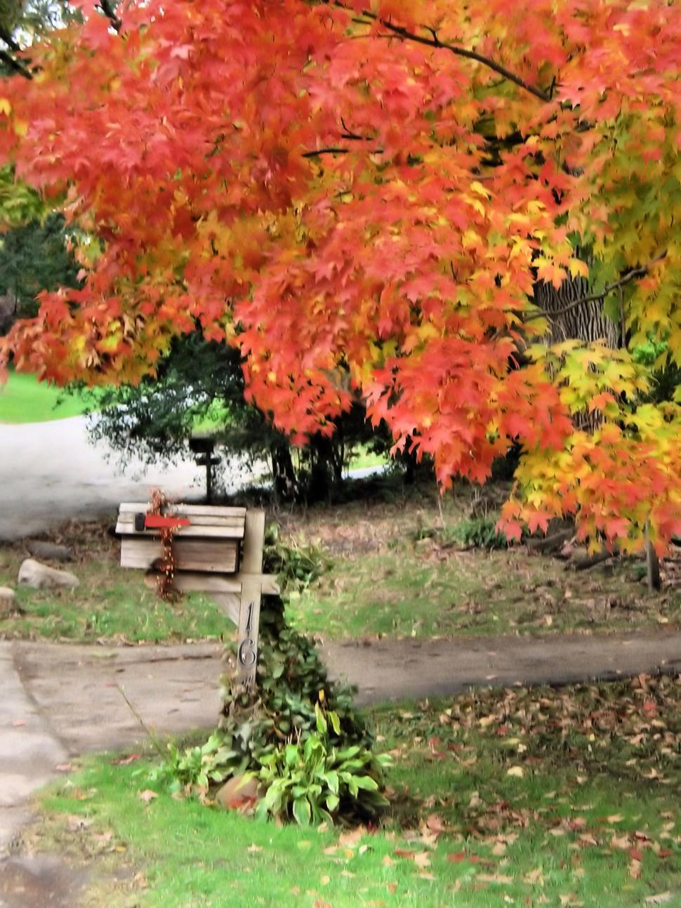 Free Image of A Beautiful Fall Day 