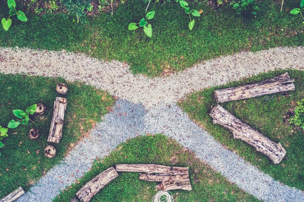 Free Image of Group of Logs on Lush Green Field 
