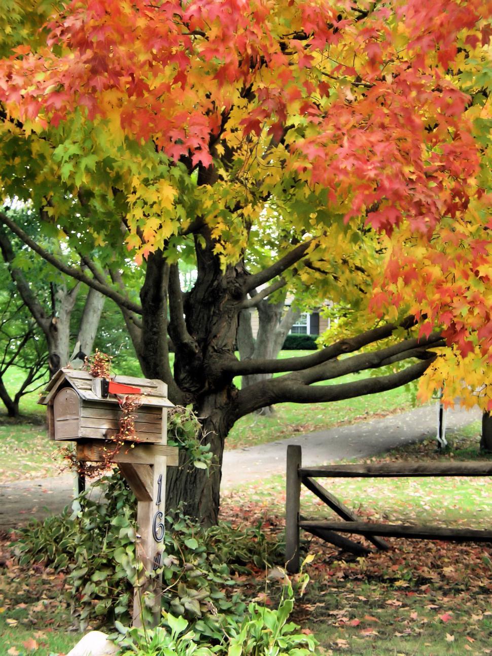 Free Image of Country Breeze 