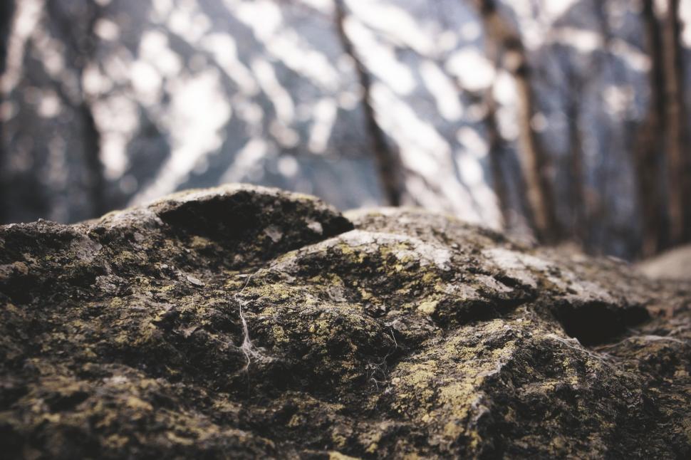 Free Image of Close Up View of Rock With Trees in Background 