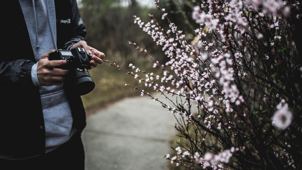 Free Image of Man Holding Camera Next to Bush 
