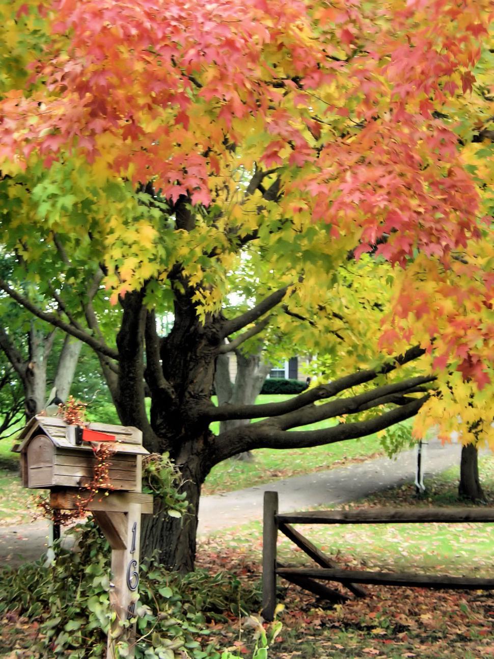Free Image of Beautiful Country Day 