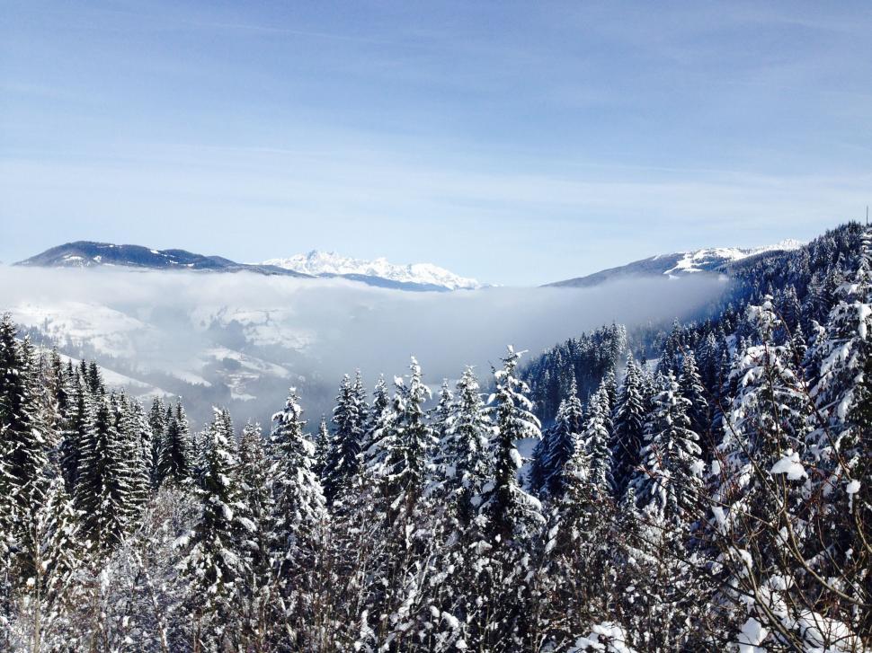 Free Image of Snowy Mountain Landscape With Foreground Trees 