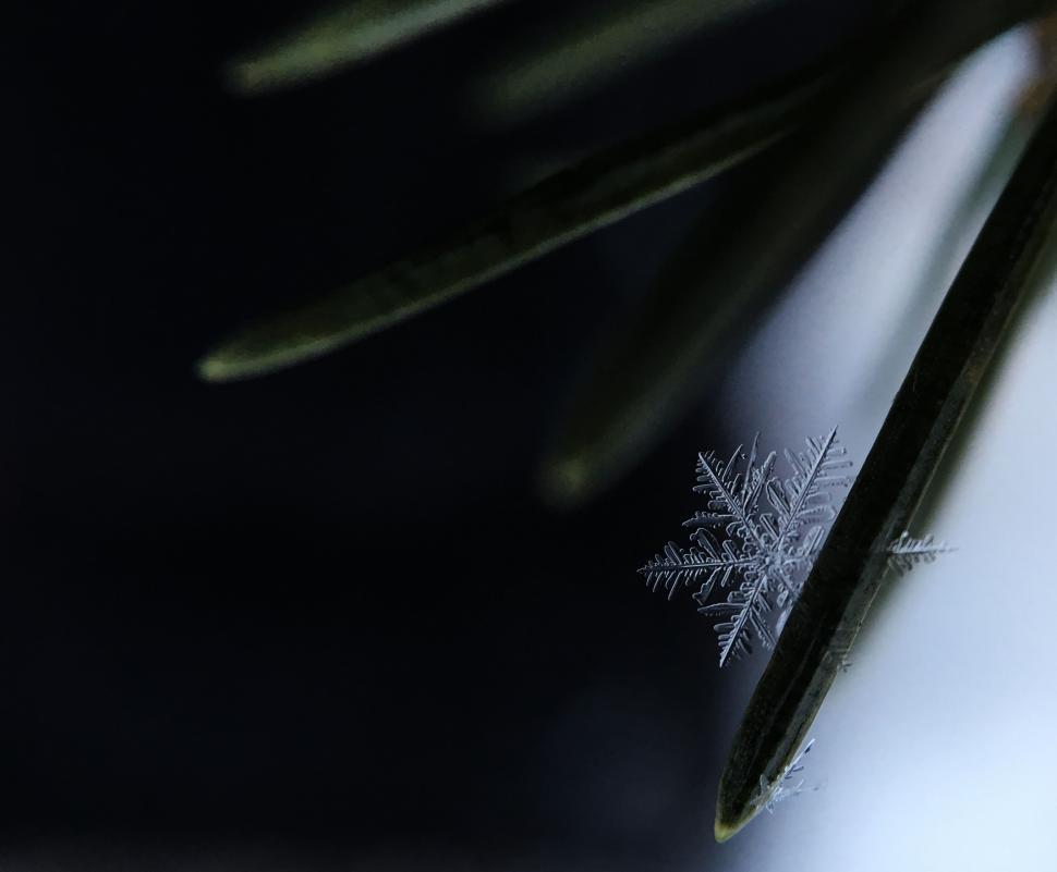 Free Image of Close Up of Scissors on Table 
