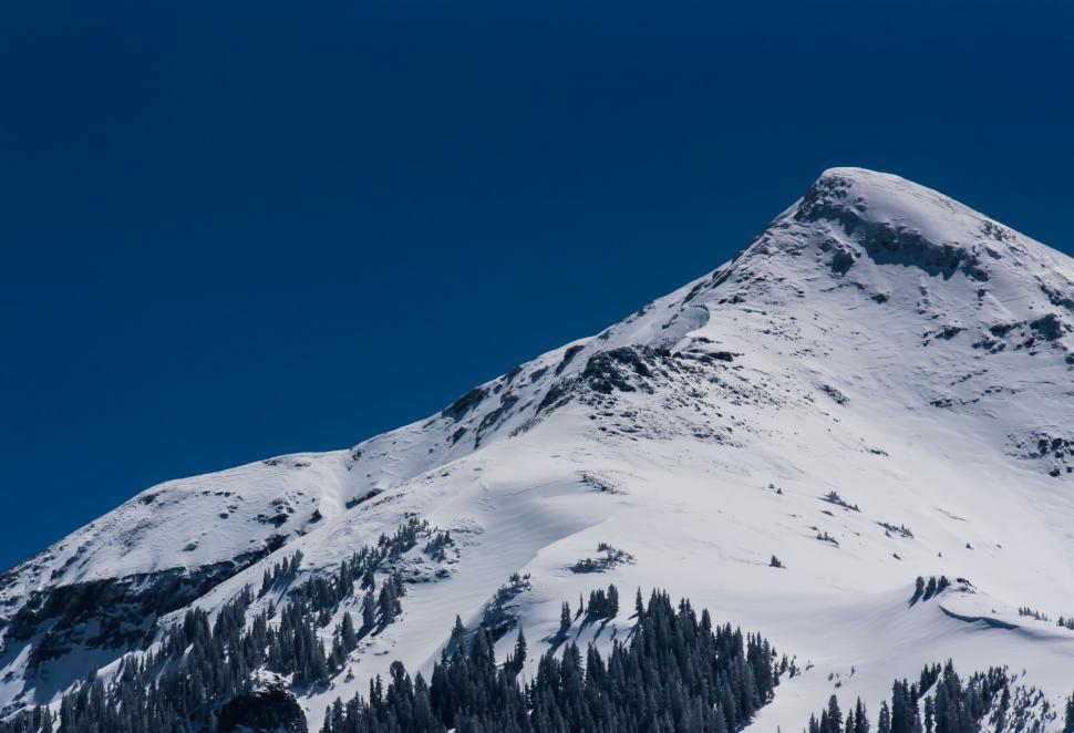 Free Image of Snow-Covered Mountain With Trees 