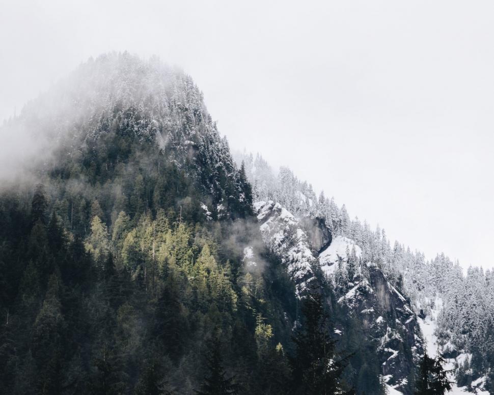 Free Image of Snow Covered Mountain in Black and White 