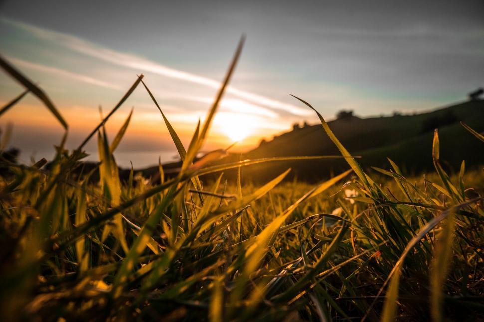 Free Image of Sun Setting Over Grassy Field 