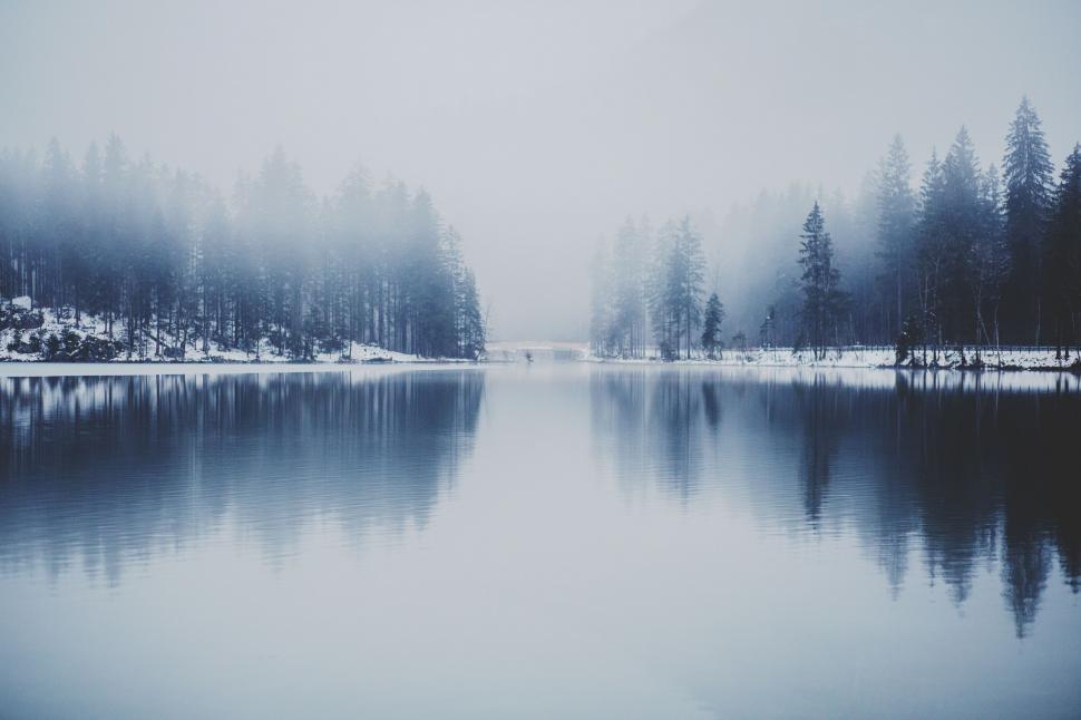 Free Image of Misty Lake Surrounded by Trees in a Forest 