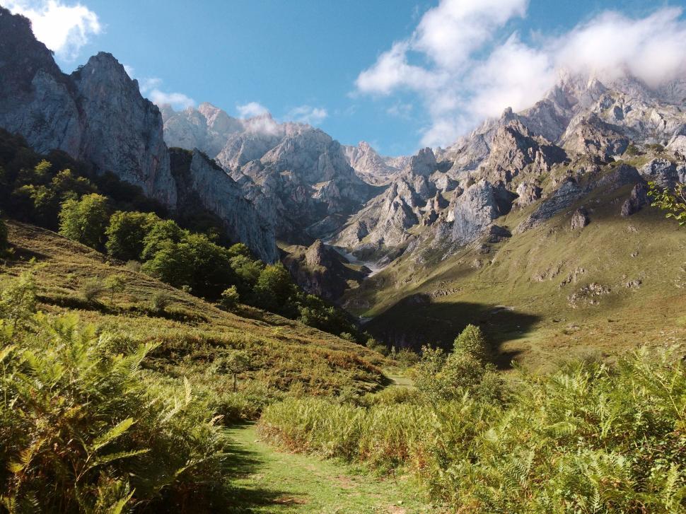 Free Image of Grassy Field With Mountains in the Background 