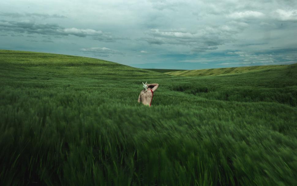 Free Image of Deer Standing in Field of Tall Grass 