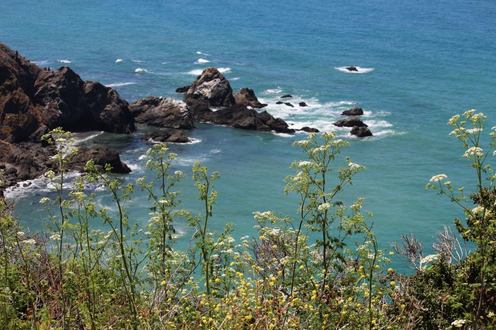 Free Image of Overlooking a Body of Water From a Hill 