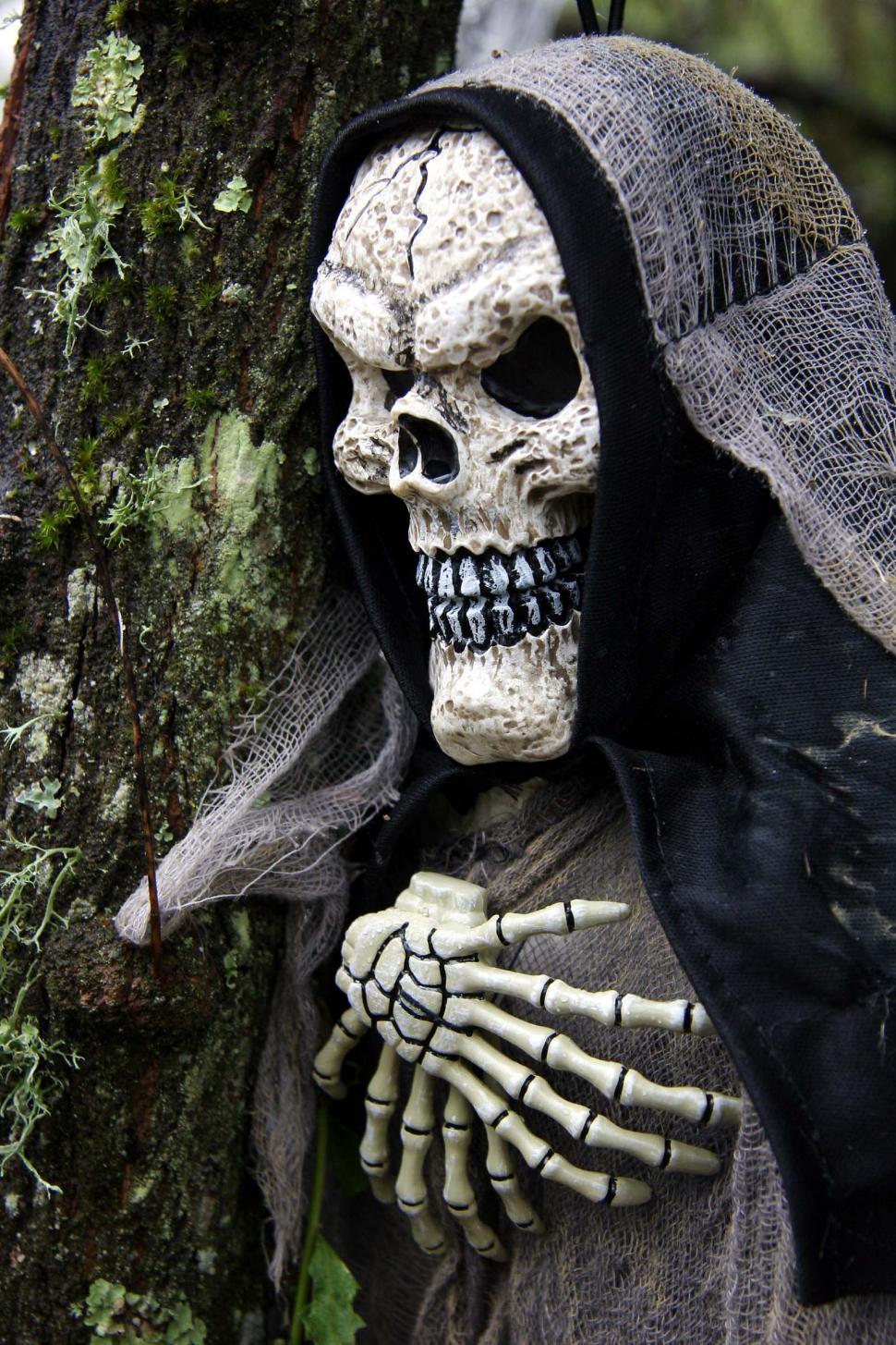 Free Image of Skeleton Wearing Black Veil Holding Knife 