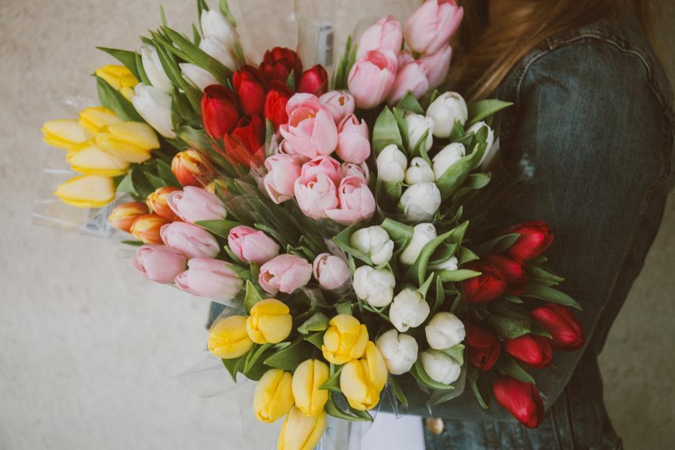 Free Image of Woman Holding a Bouquet of Tulips 