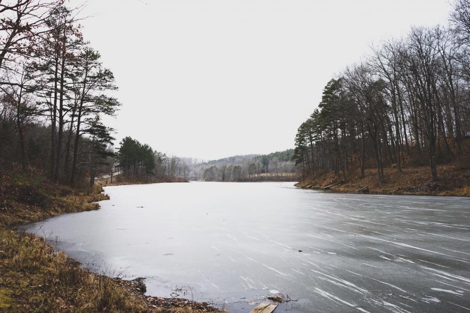 Free Image of Large Body of Water Surrounded by Trees 