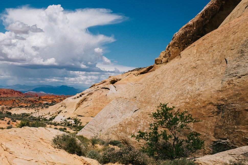 Free Image of Man Riding Motorcycle Down Dirt Road 