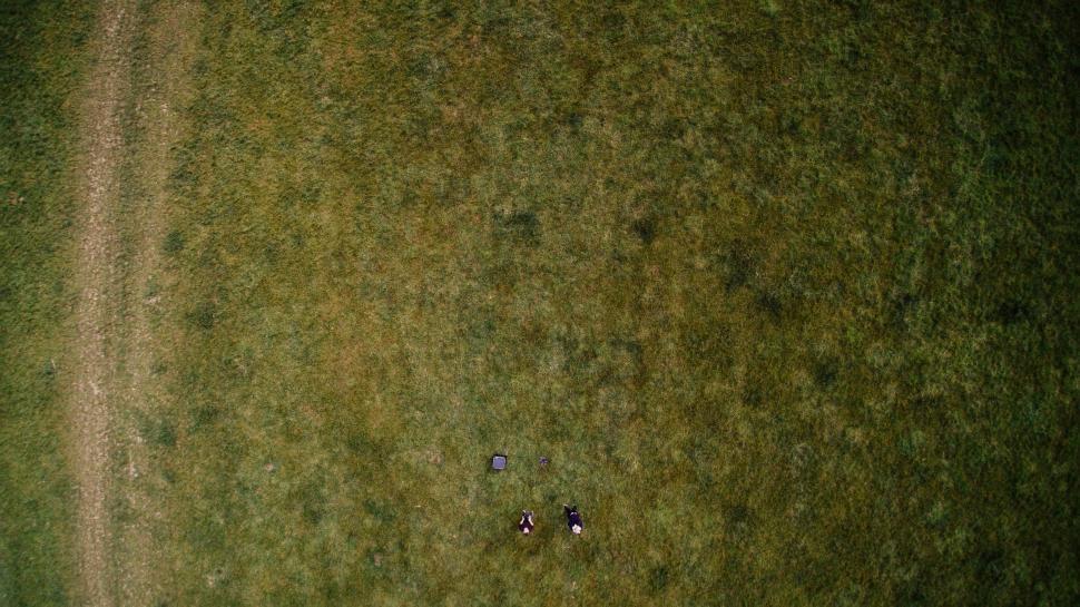 Free Image of Aerial View of Two Sheep Grazing in a Grass Field 
