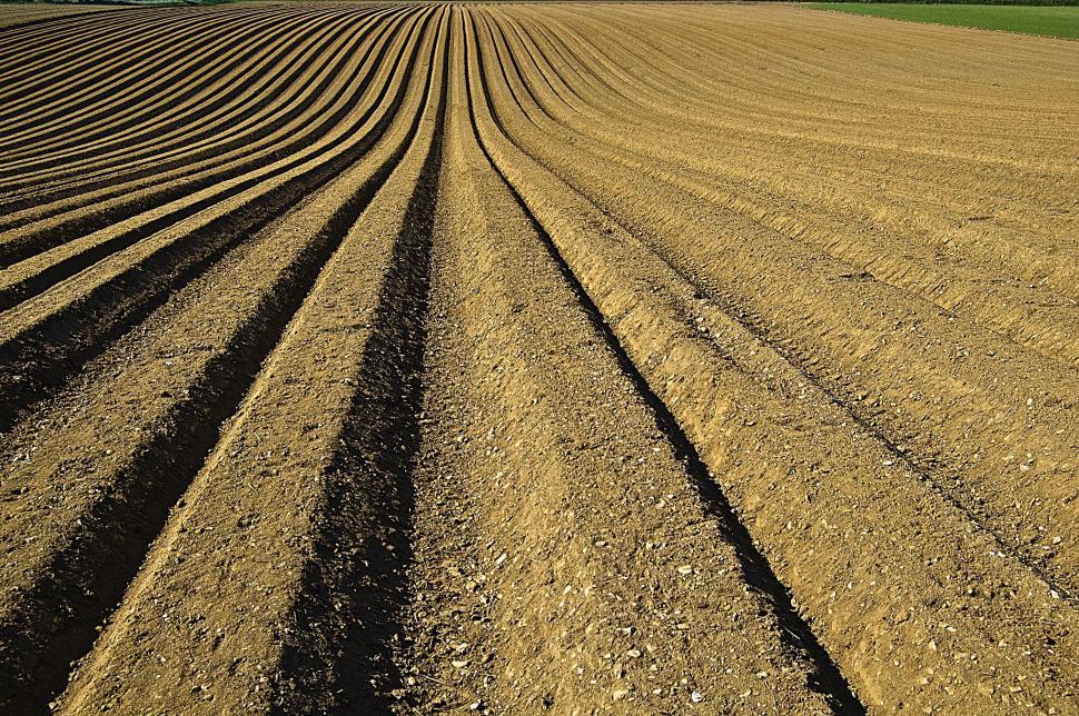 Free Image of Plowed Field in Daylight 