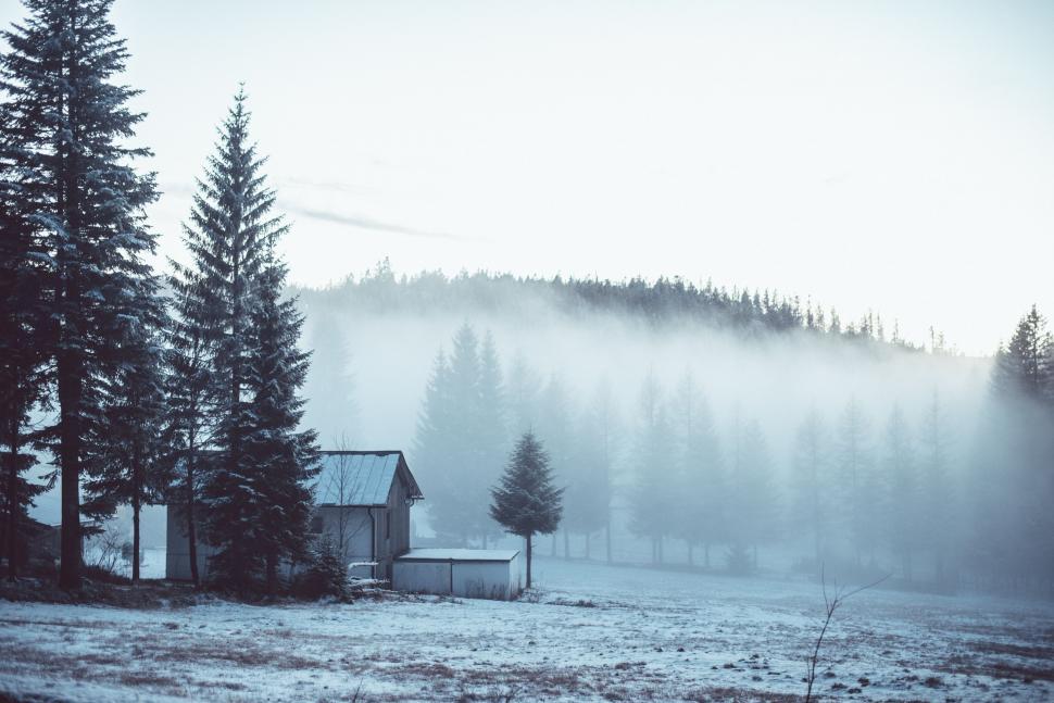 Free Image of House in Field With Trees 