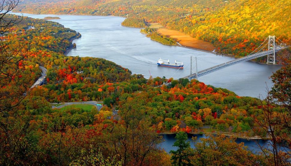 Free Image of Large Bridge Over River Surrounded by Trees 