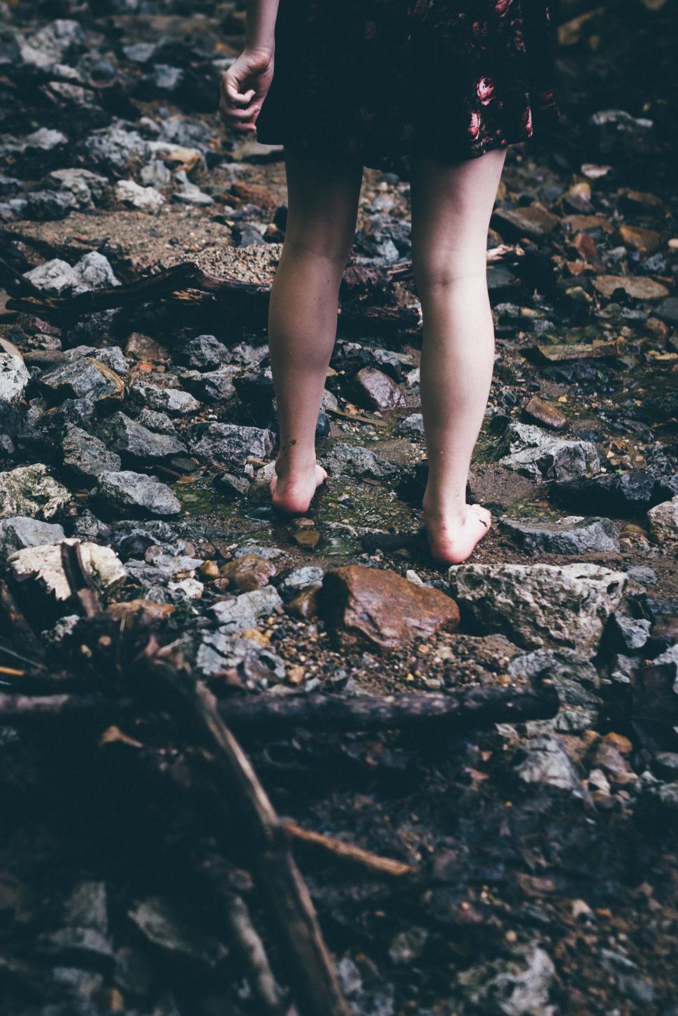 Free Image of Person Walking on Rocky Path in Woods 