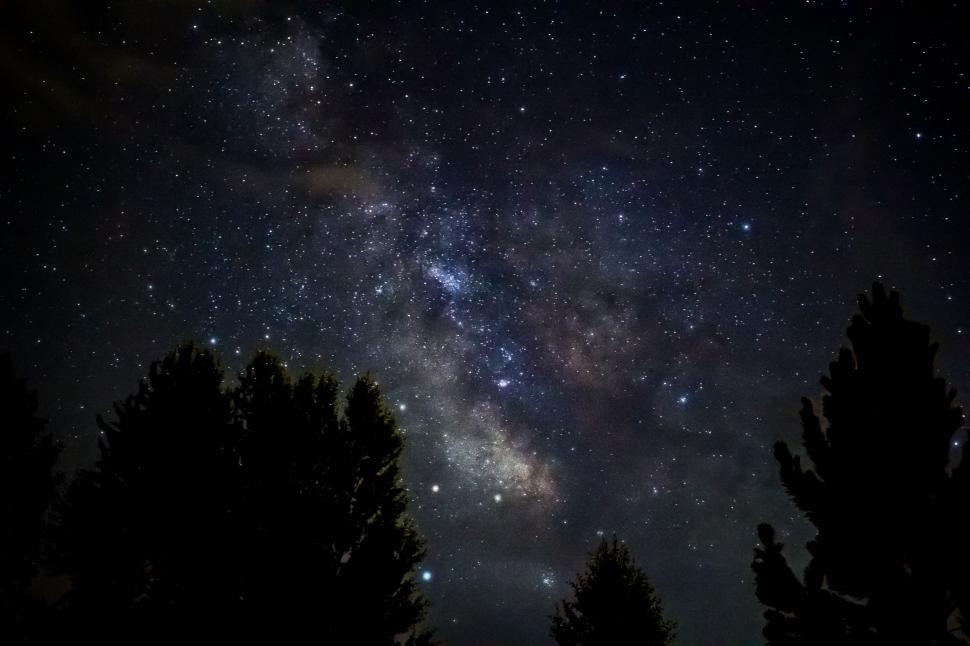 Free Image of Star-Filled Night Sky Over Trees 