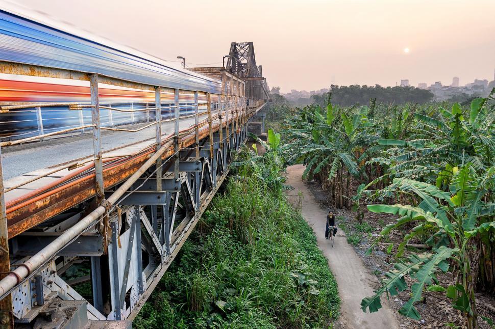 Free Image of Train Crossing Bridge Next to Lush Green Forest 