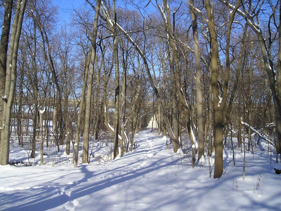 Free Image of Clear Sky 