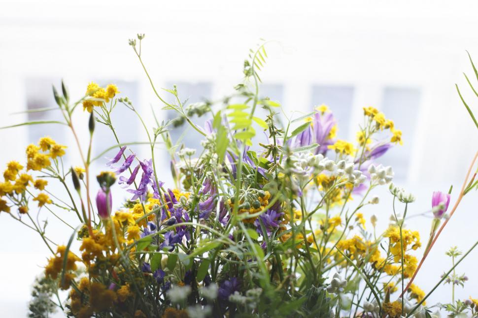 Free Image of Close Up of a Bunch of Flowers in a Vase 