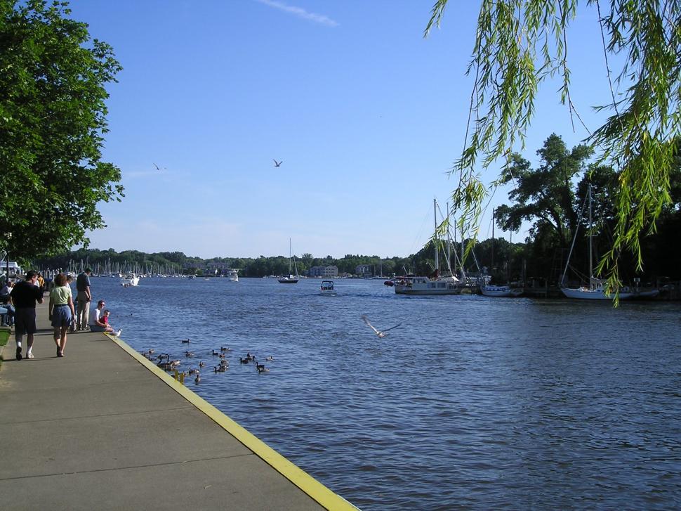 Free Image of Saugatuck, MI (a) 