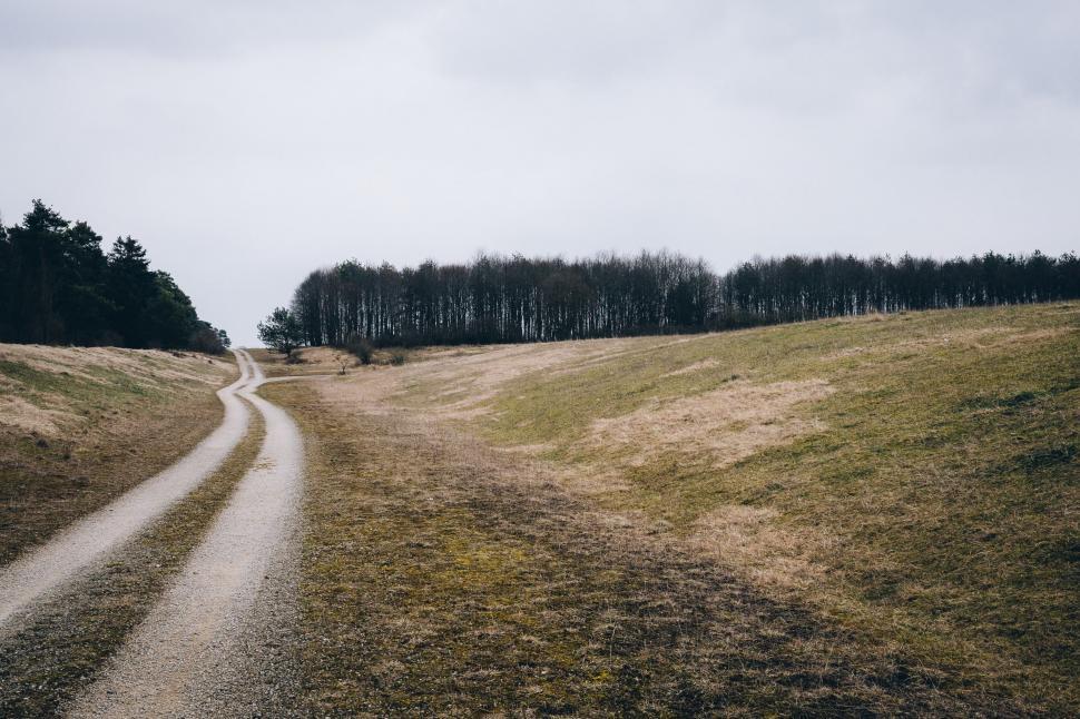 Free Image of Dirt Road Cutting Through Grassy Field 