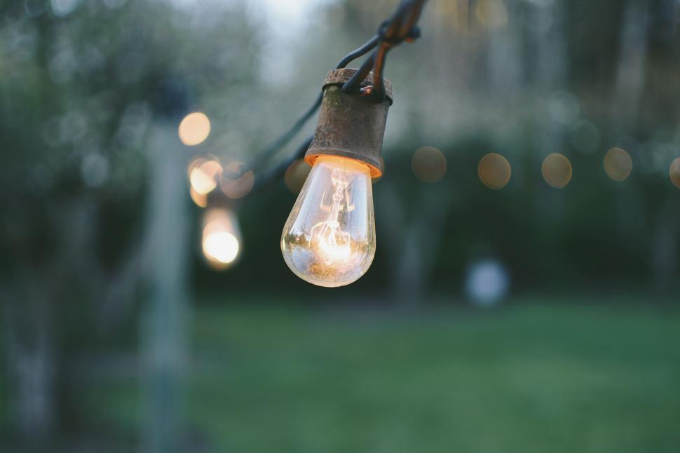 Free Image of String of Lights Hanging From a Tree 