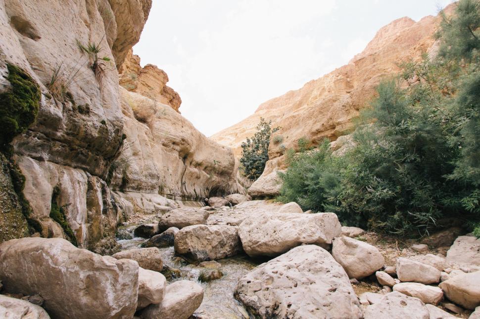 Free Image of Rocky River Bed With Trees and Rocks 