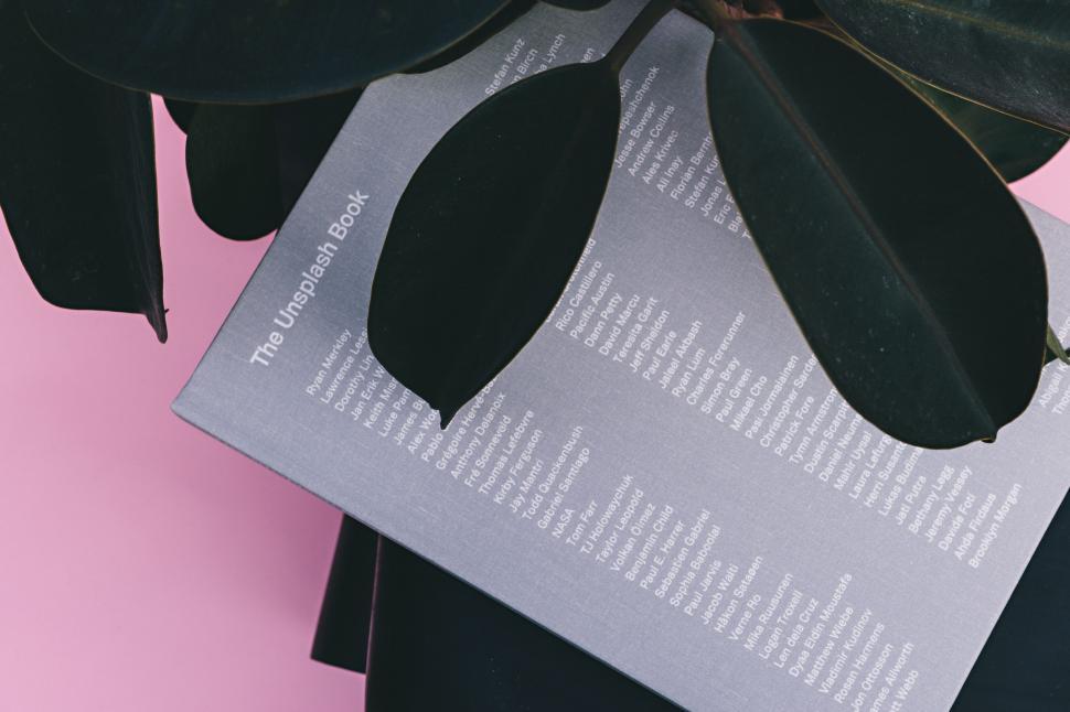 Free Image of Close Up of Tag With Bow 