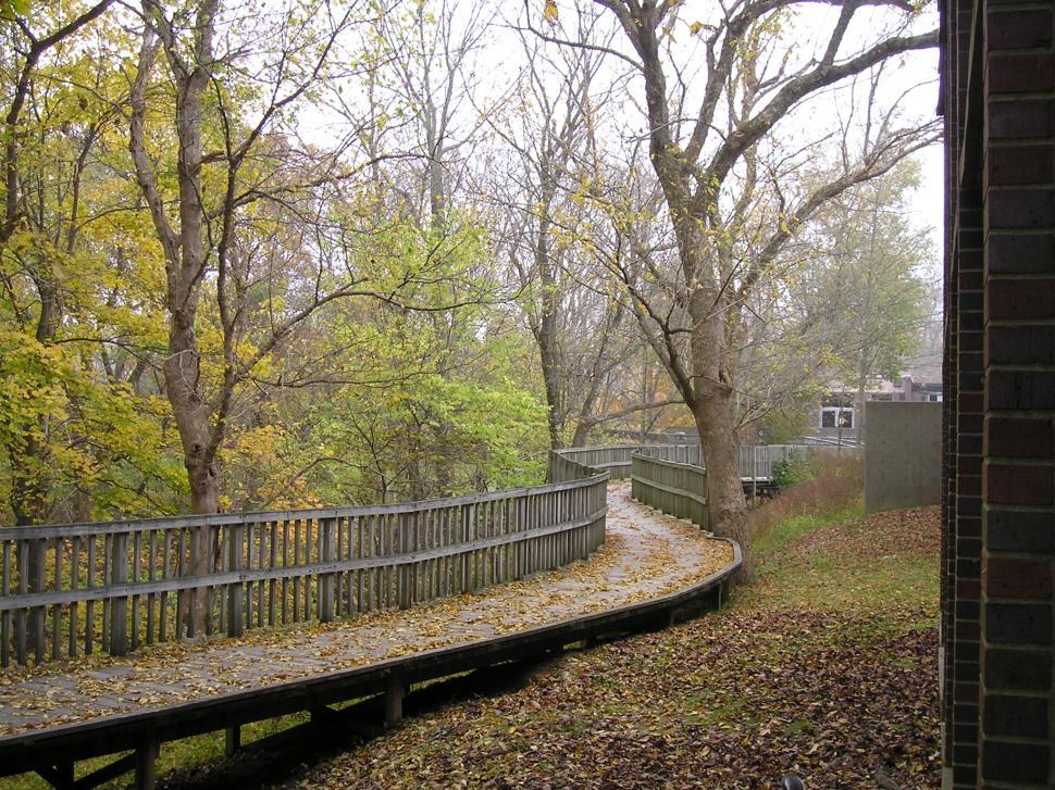 Free Image of Trail 