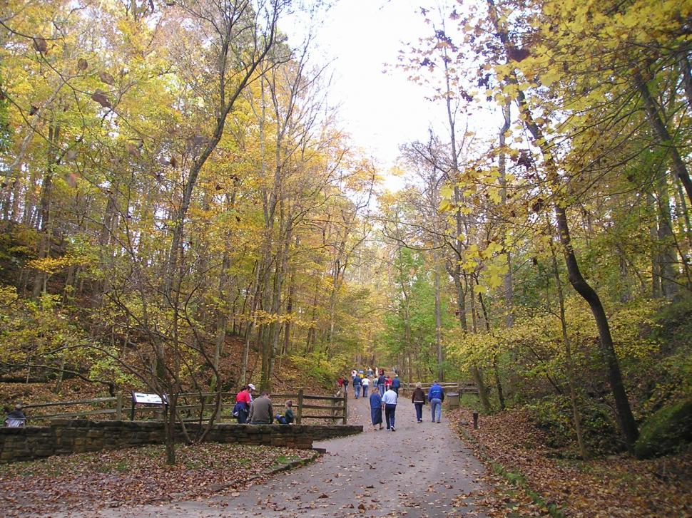 Free Image of Mammoth Cave National Park 