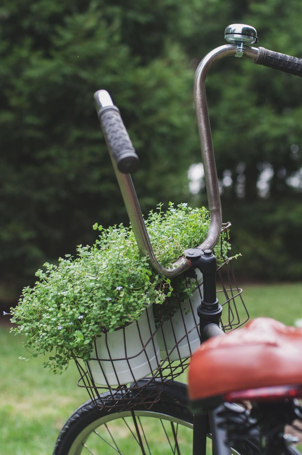 Free Image of Bicycle With a Basket of Plants 